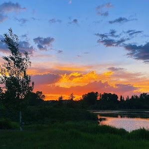 Meet your Posher, Aron